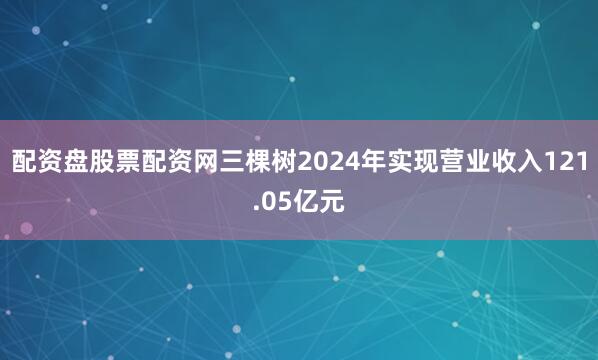 配资盘股票配资网三棵树2024年实现营业收入121.05亿元