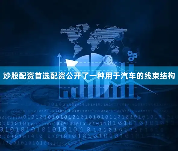 炒股配资首选配资公开了一种用于汽车的线束结构