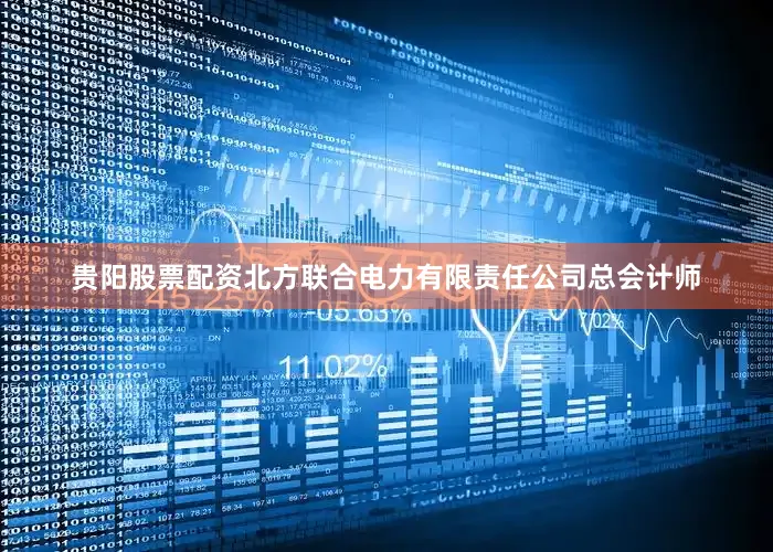 贵阳股票配资北方联合电力有限责任公司总会计师